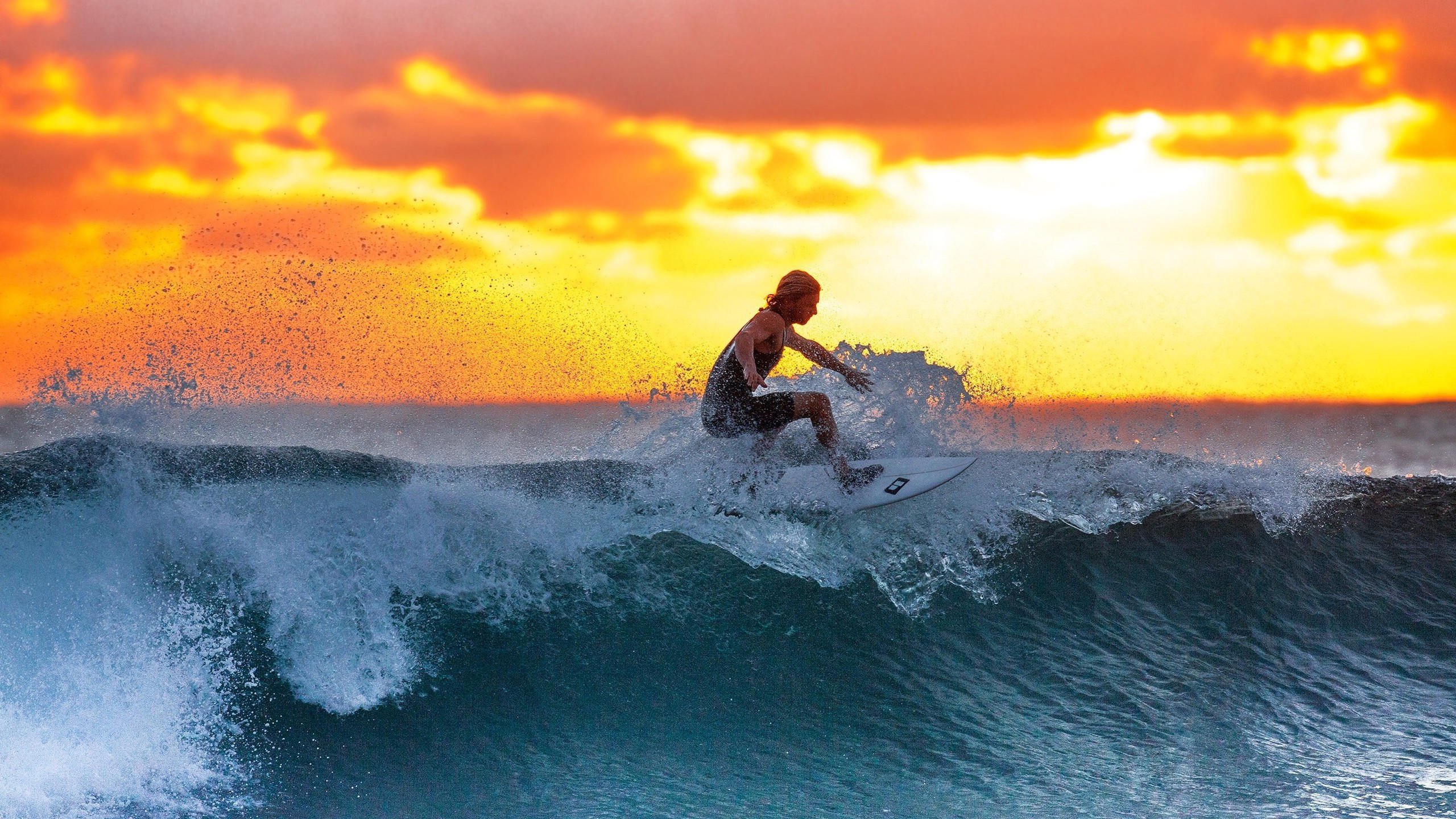 世界拳击锦标赛新人表现获裁判肯定，世界拳击大赛冠军